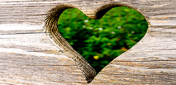 Herz in Holz